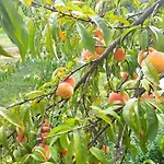 Apartment Kuca Za Odmor 