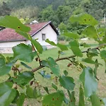 Kuca Za Odmor 