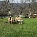 Kuca Za Odmor 