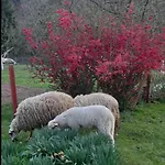 Apartment Kuca Za Odmor 