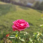 Daire Kuca Za Odmor 