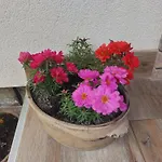 Kuca Za Odmor 