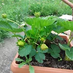 Daire Kuca Za Odmor 