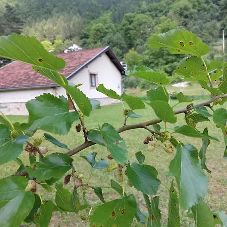 Kuca Za Odmor 