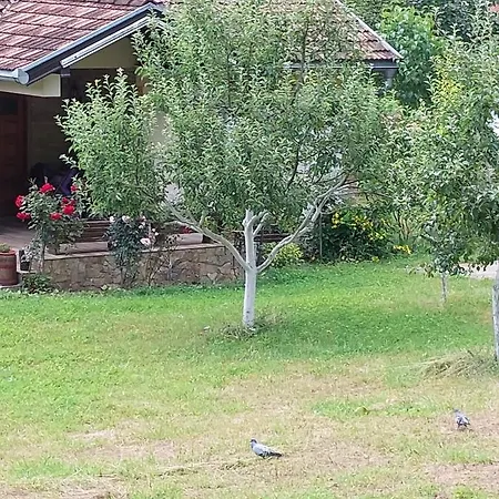 Kuca Za Odmor 