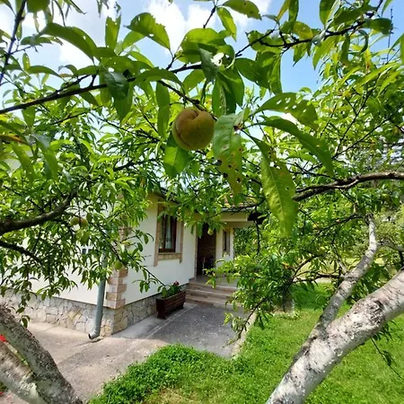 Kuca Za Odmor 