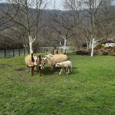 Kuca Za Odmor 