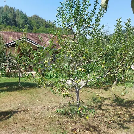 Kuca Za Odmor 