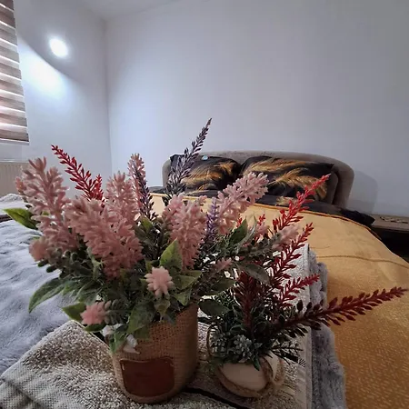Kuca Za Odmor 