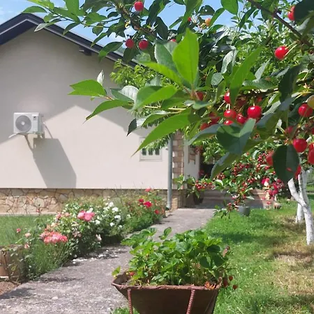 Kuca Za Odmor 