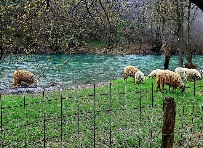 Lägenhet Kuca Za Odmor 