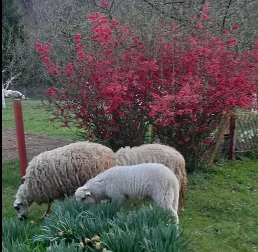 Lägenhet Kuca Za Odmor 