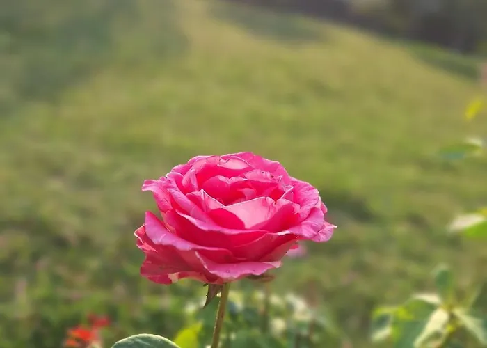 Lägenhet Kuca Za Odmor 